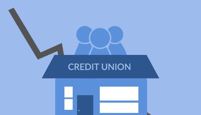 The Role of Credit Unions in the Financial System