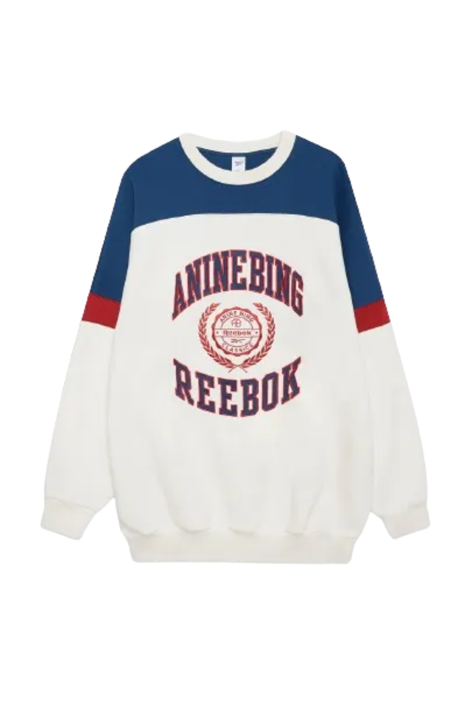 The Allure of Anine Bing Sweatshirt