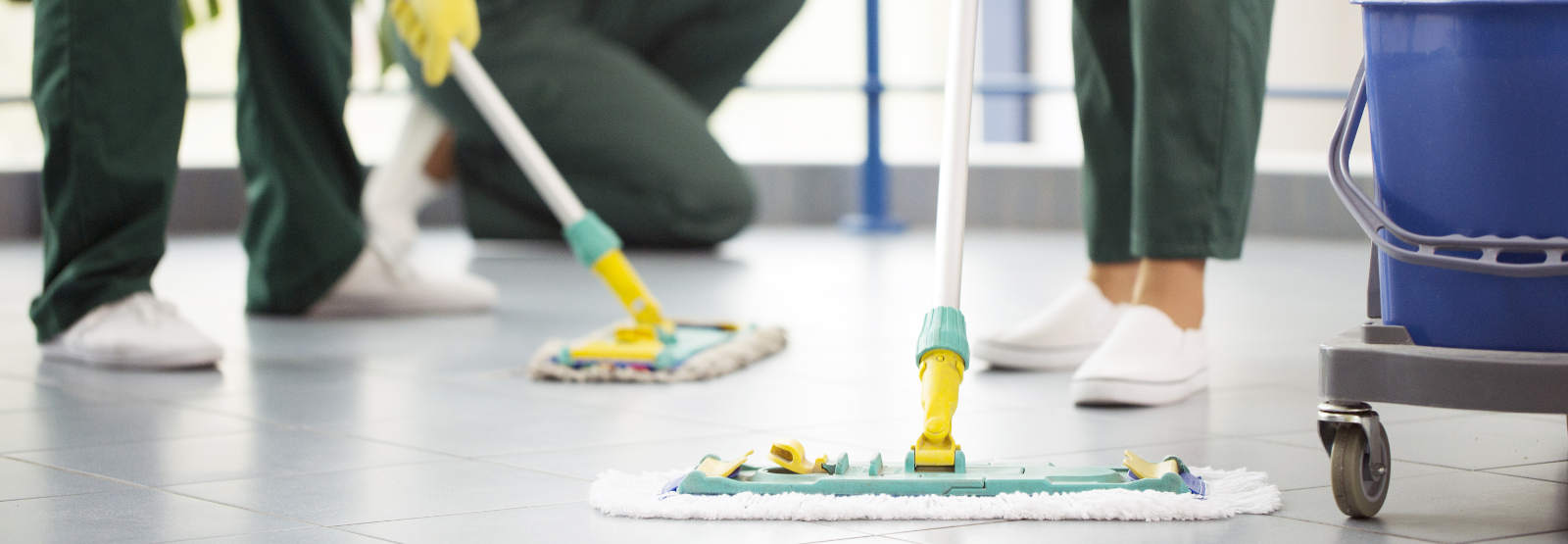 Revitalize Your Home: Top House Cleanup Services in Painesville You Need to Know About