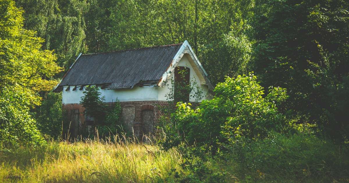 Woman Spots Heart-Wrenching Scene While Checking Old House on Google Maps